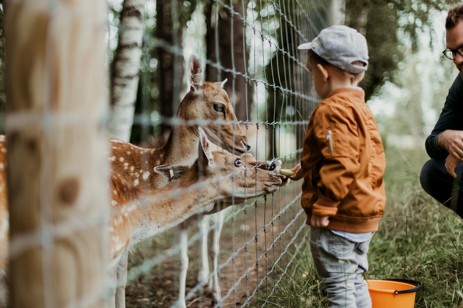 ZooSafari